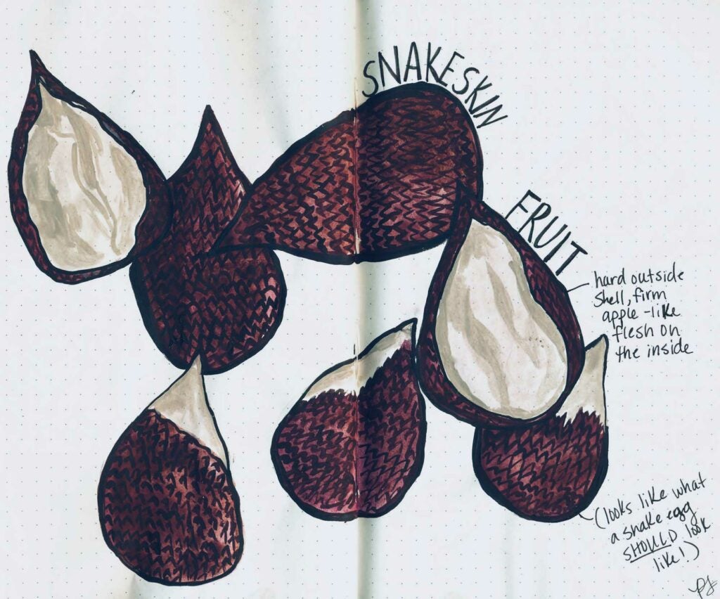 Snakeskin Fruit