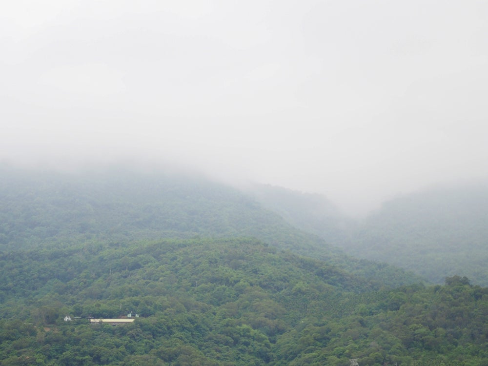 The Wilderness of Taiwan