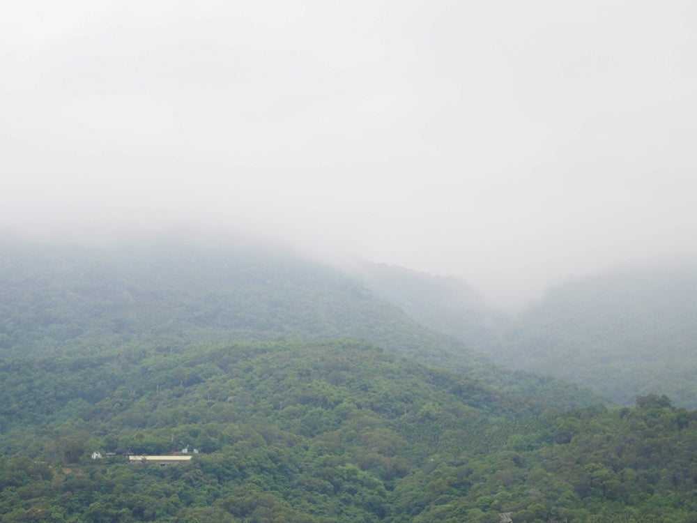 The Wilderness of Taiwan