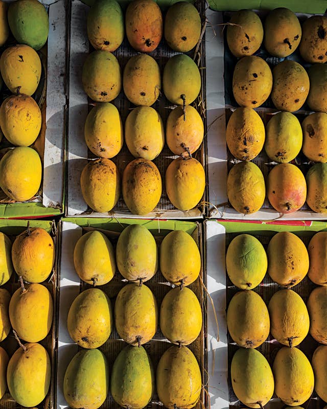 Mango: King of Fruits