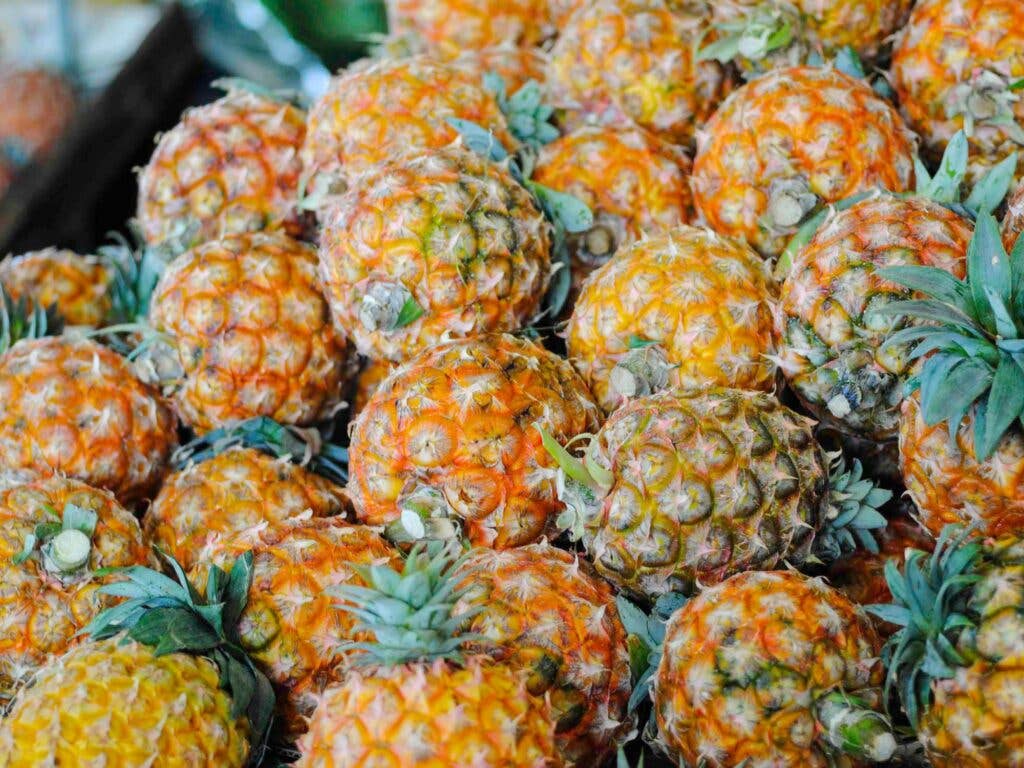 Pineapples