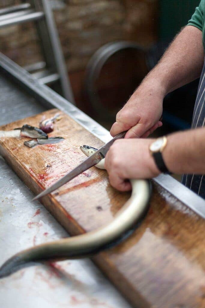 English Eel Gutting