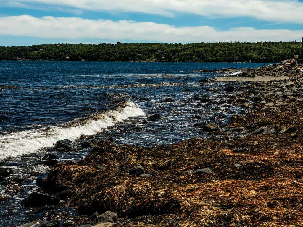 Point Pleasant park