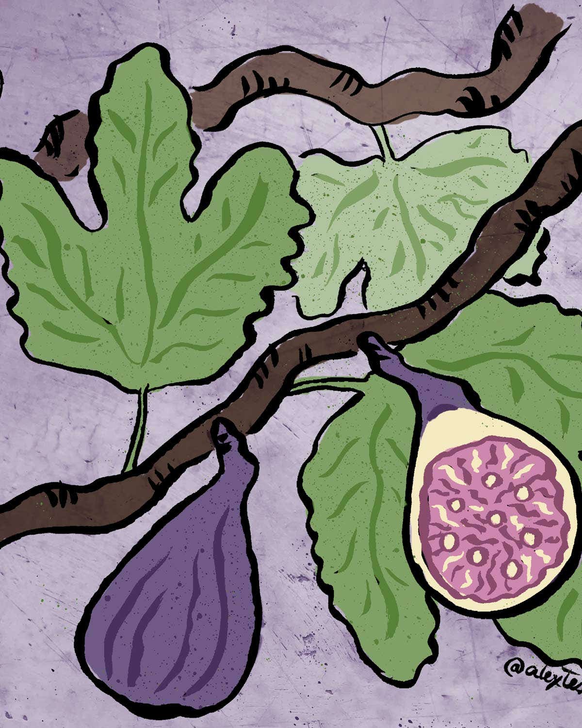 The Romantic, Tragic, and Profoundly Gross Evolutionary Tale of the Fig Tree figs
