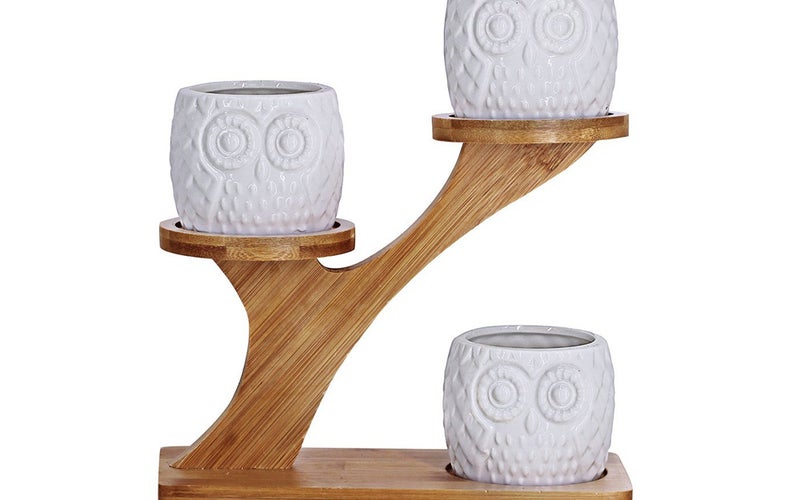 3pcs Owl Succulent Pots with 3 Tier Bamboo Saucers Stand Holder - White Modern Decorative Ceramic Flower Planter Plant Pot with Drainage - Home Office Desk Garden Mini Cactus Pot Indoor Decoration