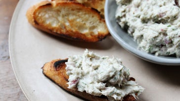 NYC to CSA: A Bluefish Paté for Every Palate