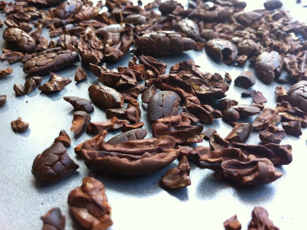 Cocoa Nibs