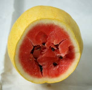 Types of Watermelon