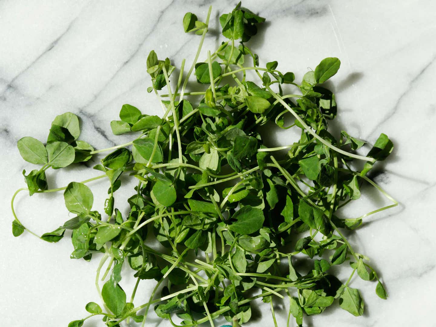 Pea Shoots