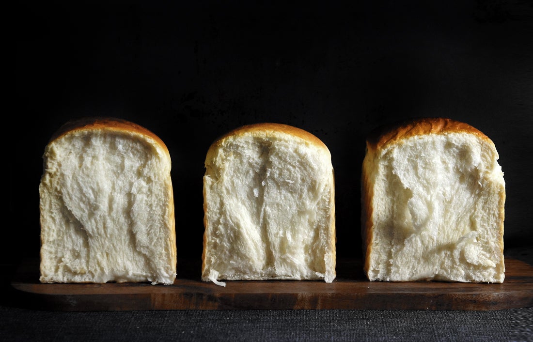 Sites We Love: Lady and Pups