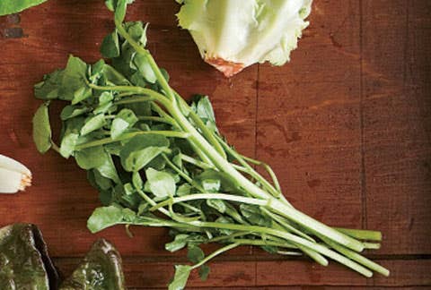 httpswww.saveur.comsitessaveur.comfilesimport2008images2008-03634-102_ultimate_greens_guide_4_480.jpg