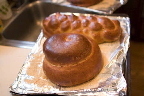 httpswww.saveur.comsitessaveur.comfilesimport2008images2008-12634-kosher_12_480.jpg