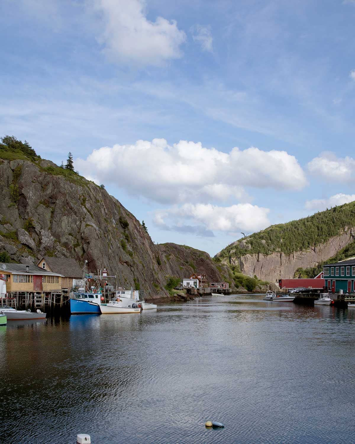 How to Drink Your Way Down the Craft Beer Trail of Newfoundland, Canada