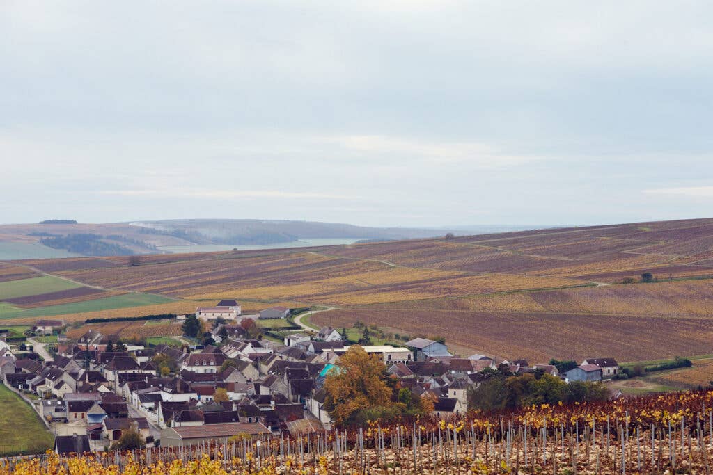 Chablis