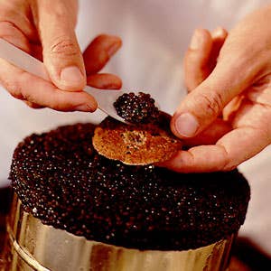 Serving Caviar
