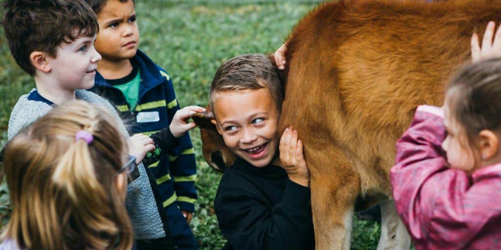 children hugging calf