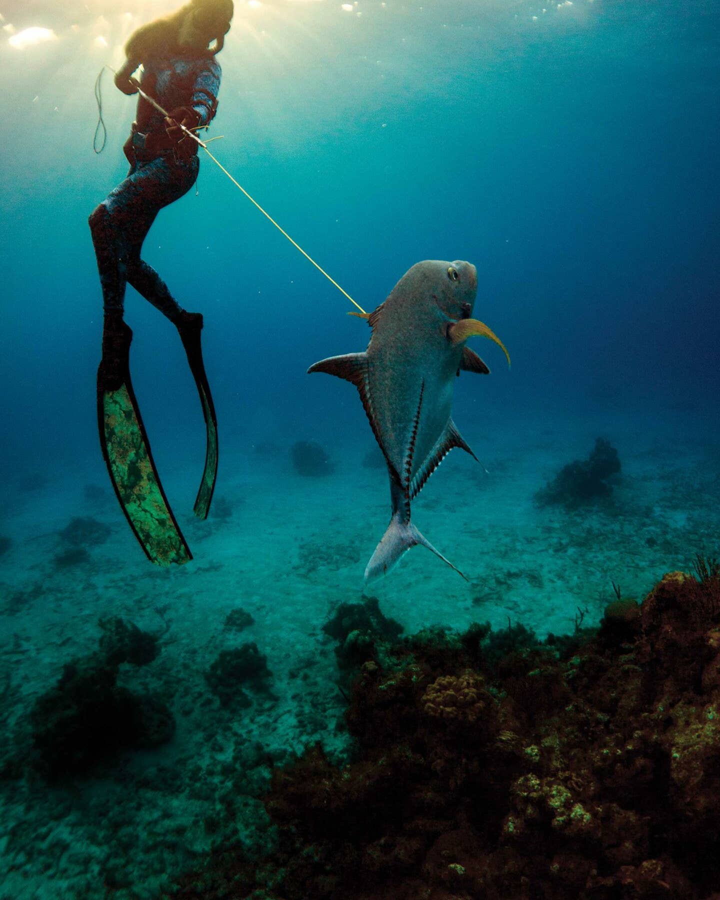 This Award-Winning Spearfisher Catches Dinner 75 Feet Under Water