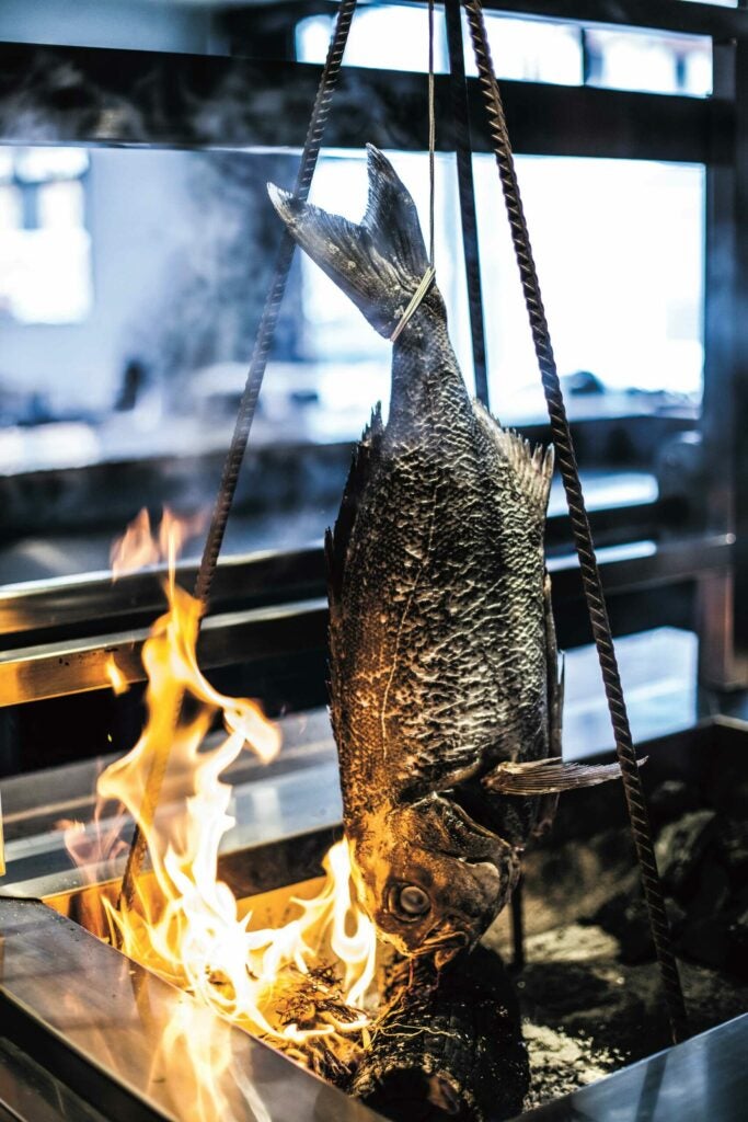 IGNI cookbook