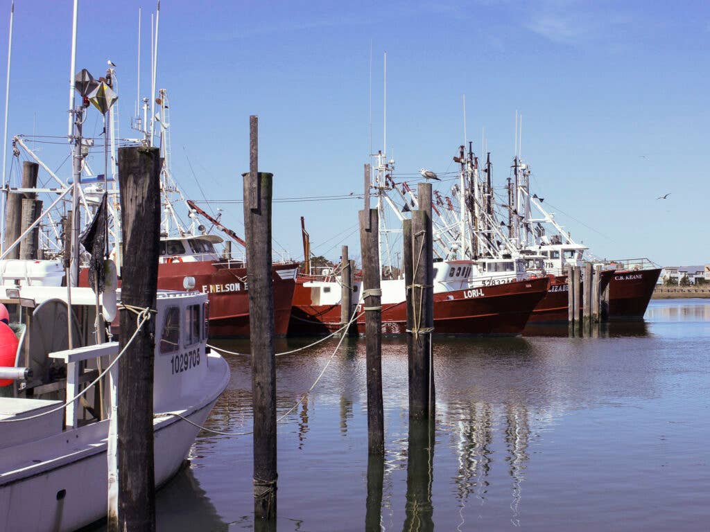 Jersey Shore Seafood