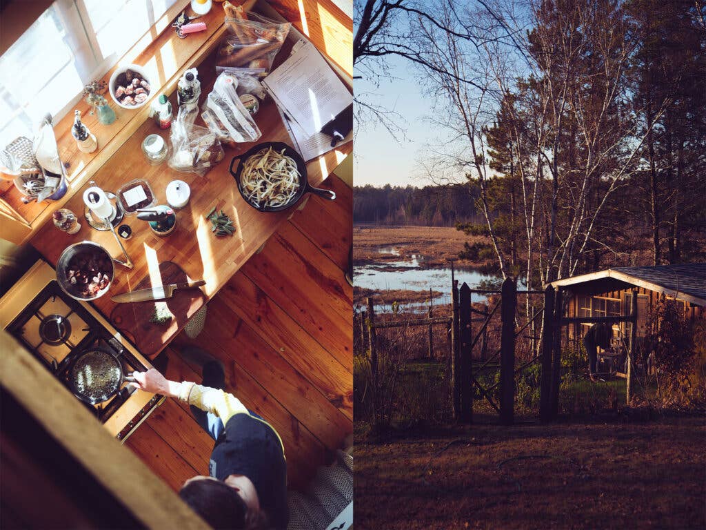 minnesota cabin thanksgiving