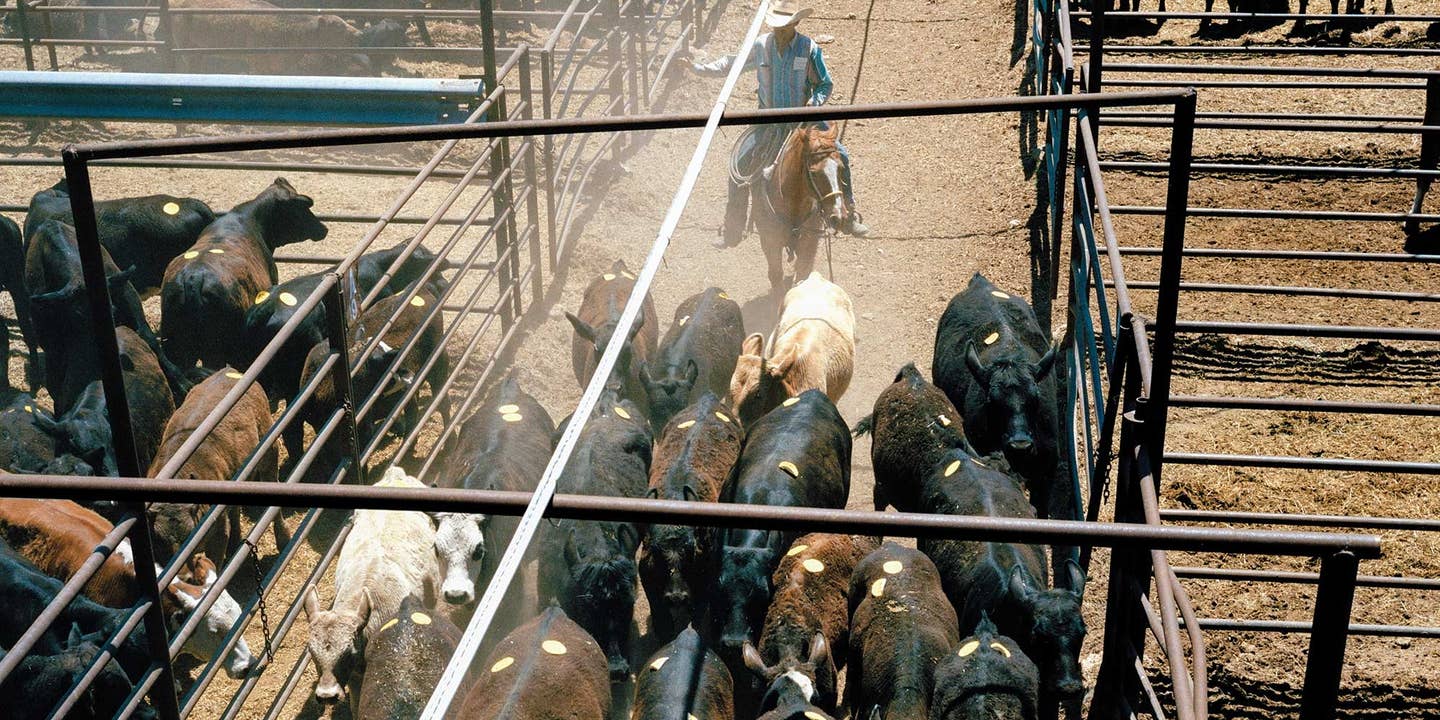 A Day With the Texas Law Man Who Catches Cattle Thieves