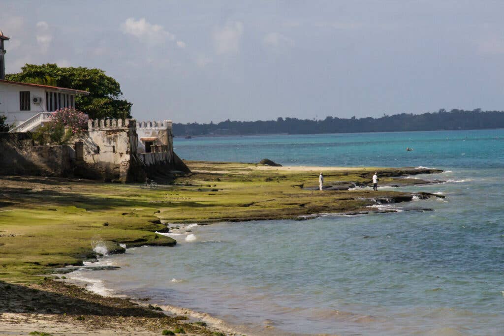 Zanzibar Coast