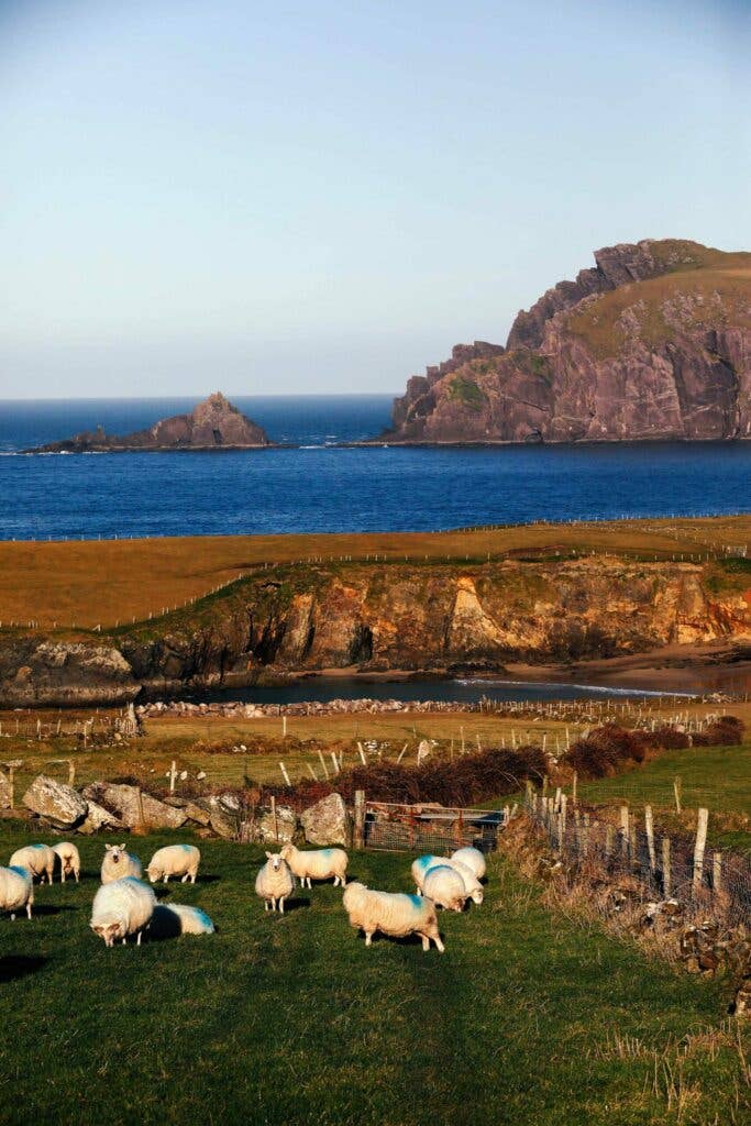 Dingle, Ireland