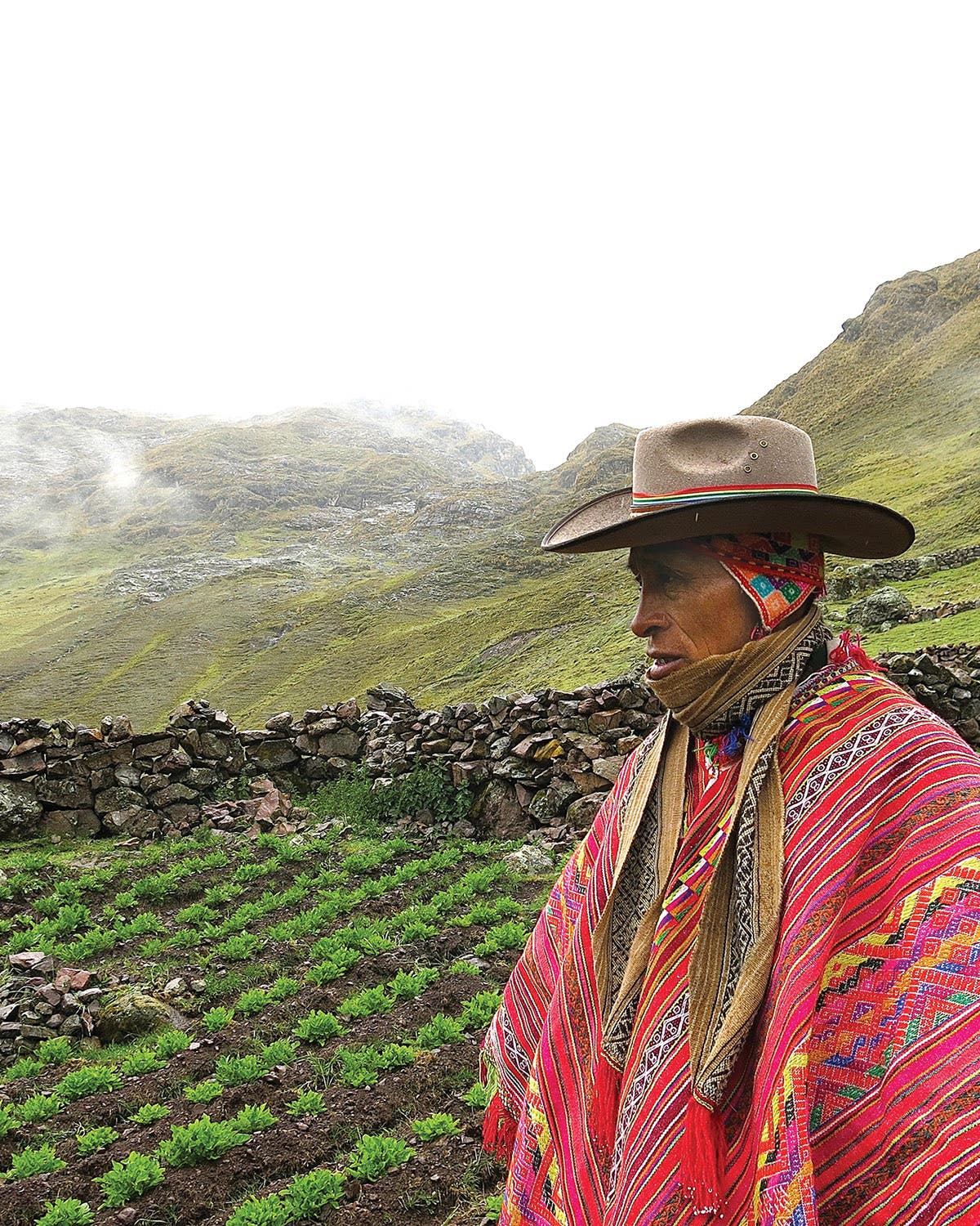 How a Peruvian Farmer is Growing 180 Kinds of Potatoes How a Peruvian Farmer is Growing 180 Kinds of Potatoes