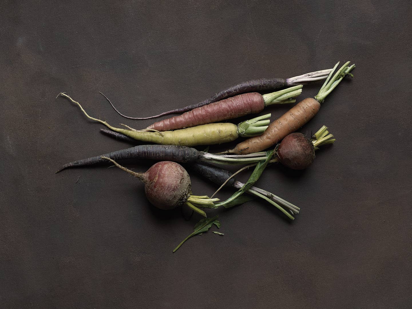 Are Root Vegetables the Root of Civilization?