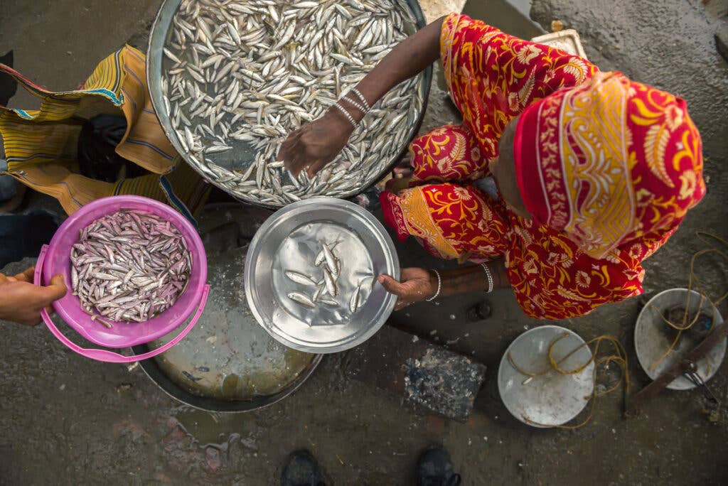 northeast-india-guwahati-fish-veg-market6
