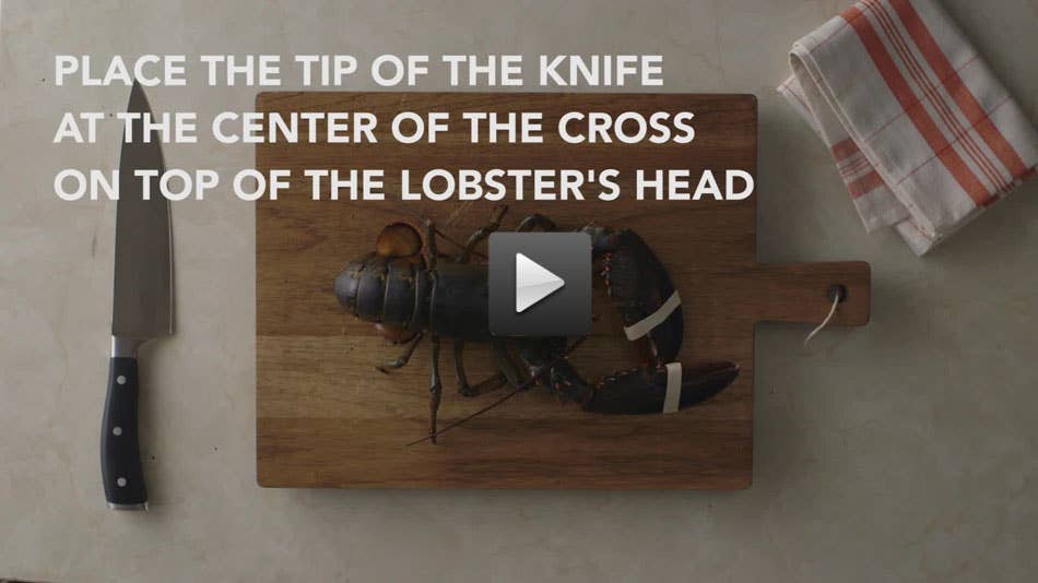 Video: How to Humanely Kill a Lobster