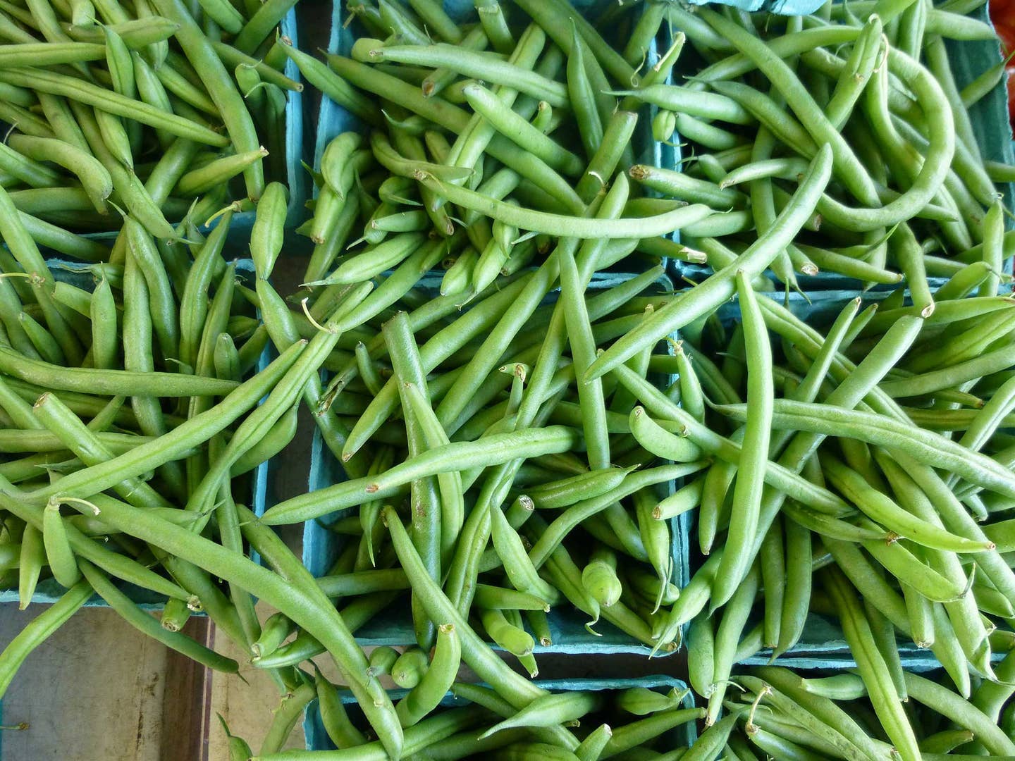 In Defense of the Olive-Drab, Slow-Cooked String Bean
