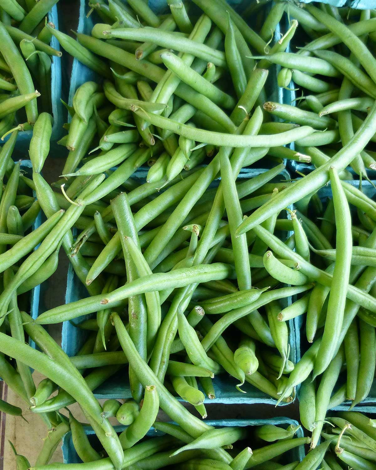 In Defense of the Olive-Drab, Slow-Cooked String Bean
