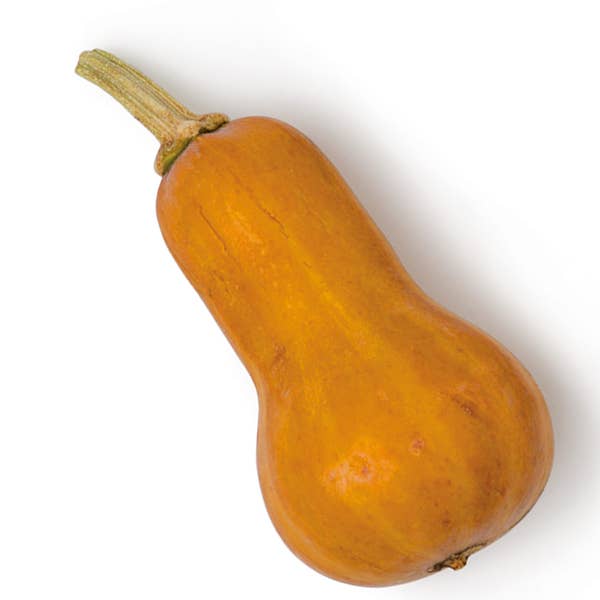 httpswww.saveur.comsitessaveur.comfilesimport2014honeynut-squash-600&#215;600.jpg