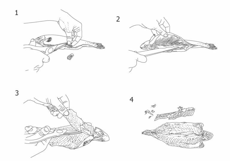 Butterflying Trout Saveur