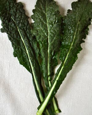 One Ingredient, Many Ways: Kale