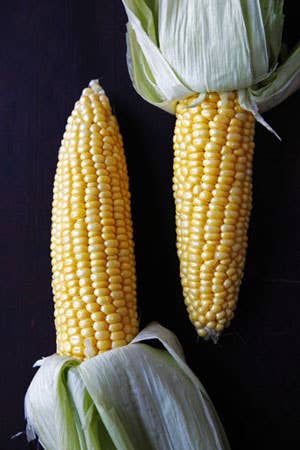 httpswww.saveur.comsitessaveur.comfilesimport2010images2010-06corn300.jpg