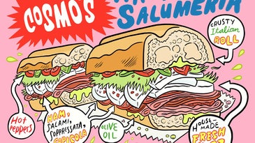 Eat the Excellent Sandwiches From the New Jersey Deli Straight Out of the Sopranos