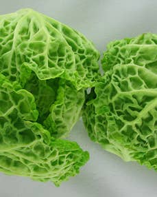 An Ode To Savoy Cabbage