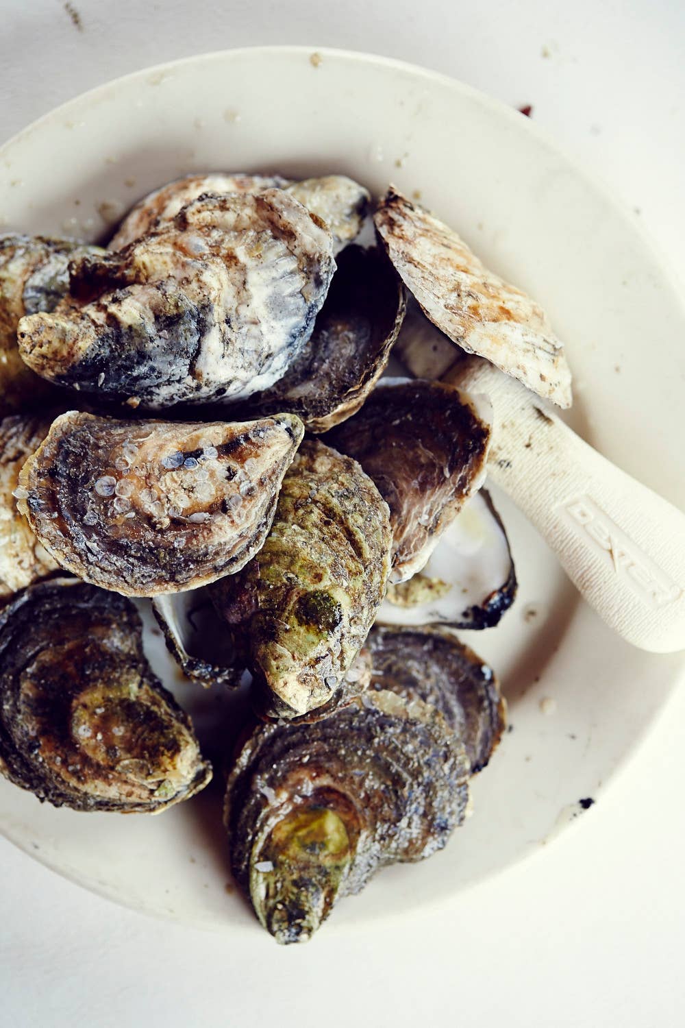 VIDEO: Maine’s Pemaquid Oyster Company