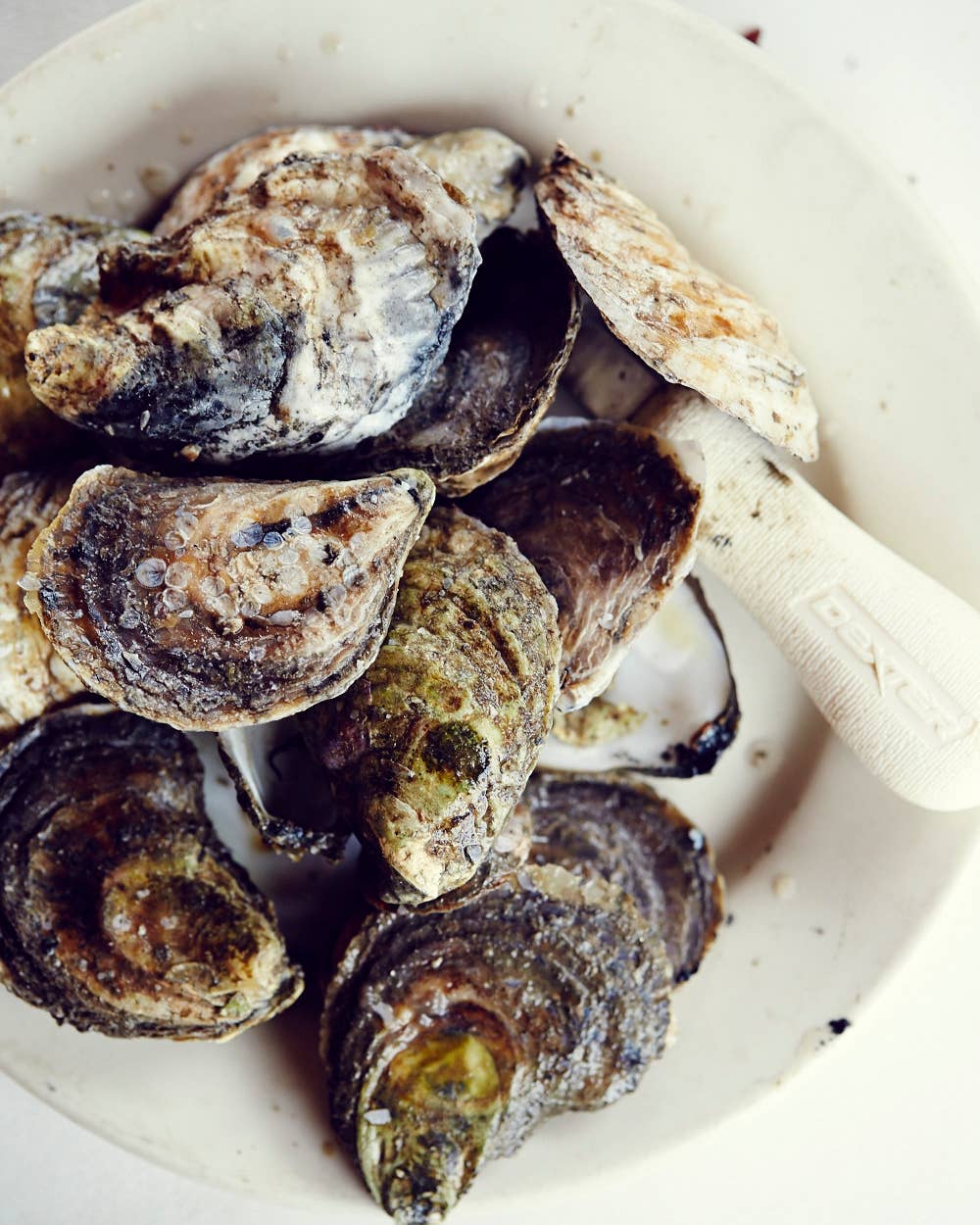 VIDEO: Maine’s Pemaquid Oyster Company