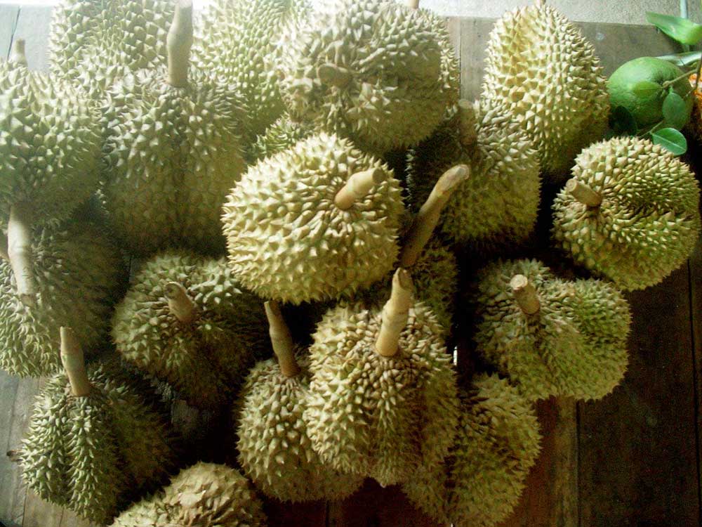 "Durian