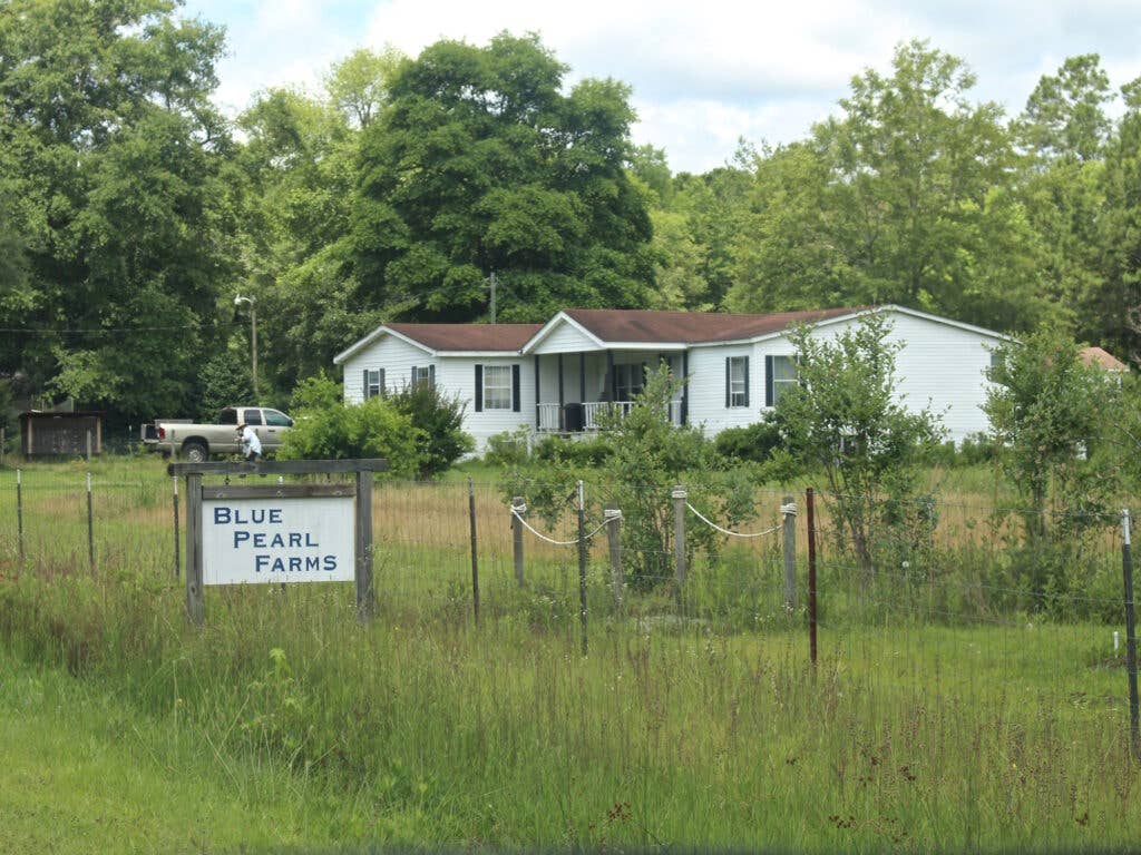 Blue Pearl Farms, McClellanville, SC