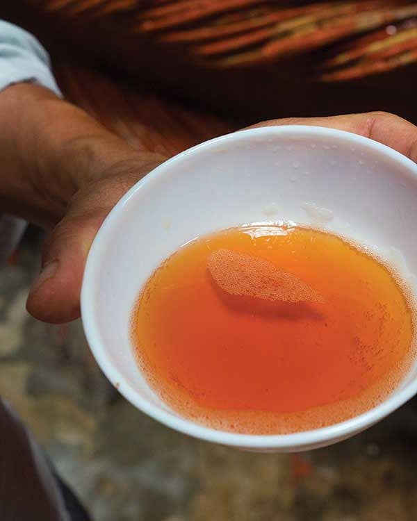 Family-Produced Fish Sauce in Phú Quốc, Vietnam