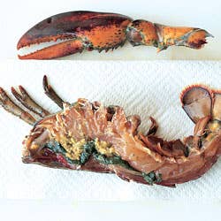 Lobster Nitty-Gritty