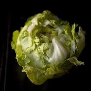 One Ingredient, Many Ways: Lettuce