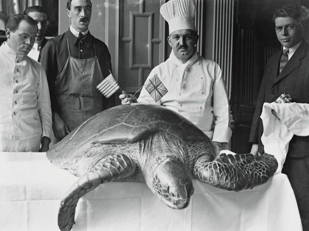 Old photograph of turtle banquet from July 4, 1940