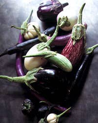 The Fine Madness of Eggplant