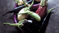 The Fine Madness of Eggplant
