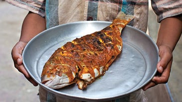Samaki Wa Kupaka (Swahili-Style Grilled Fish with Tamarind)